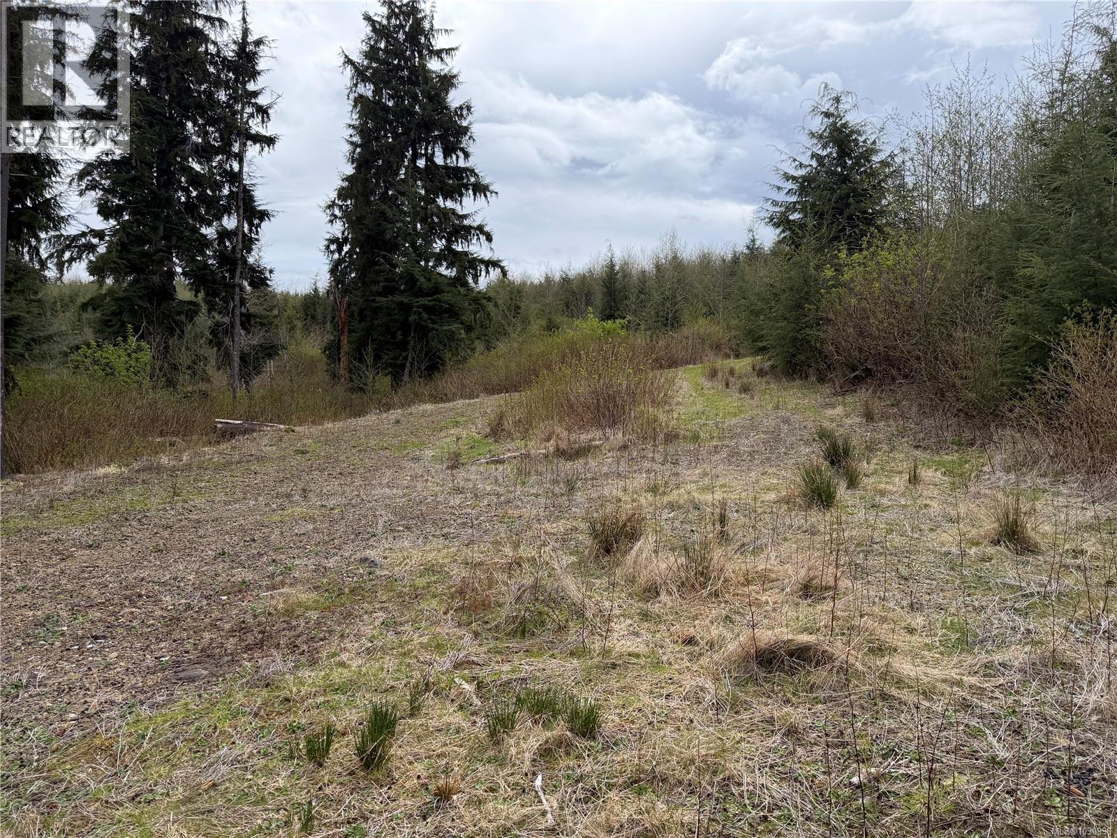Lot 10 Ingersoll, Quatsino, British Columbia  V0N 2V0 - Photo 27 - 1030996