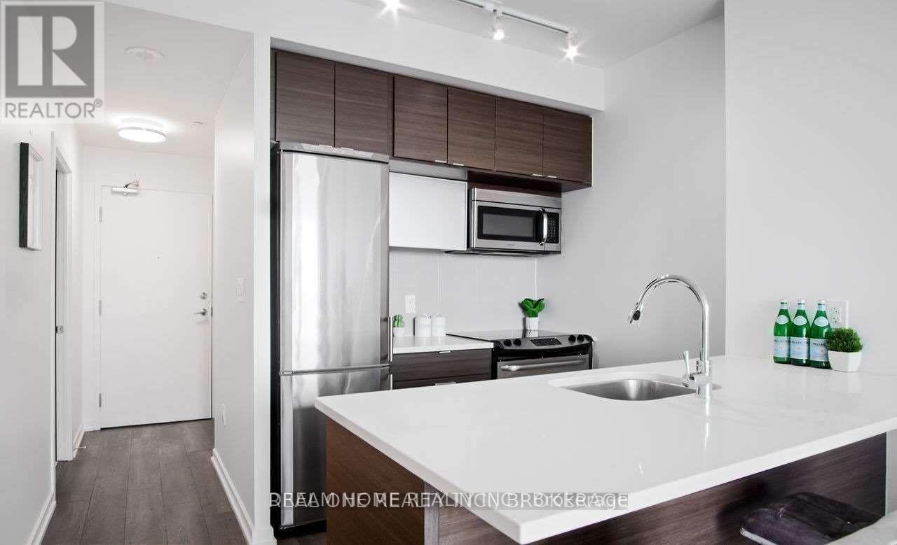 1110 - 62 Forest Manor Road, Toronto, Ontario M2J 0B6 - Photo 3 - C13656116
