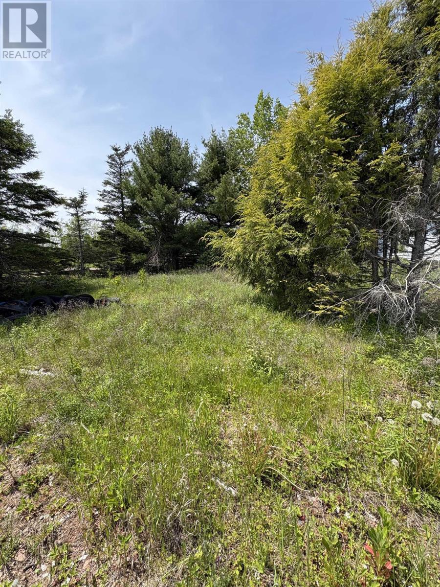 9260 N0. 2 Great Village Highway, Great Village, Nova Scotia  B0M 1L0 - Photo 10 - 202614228