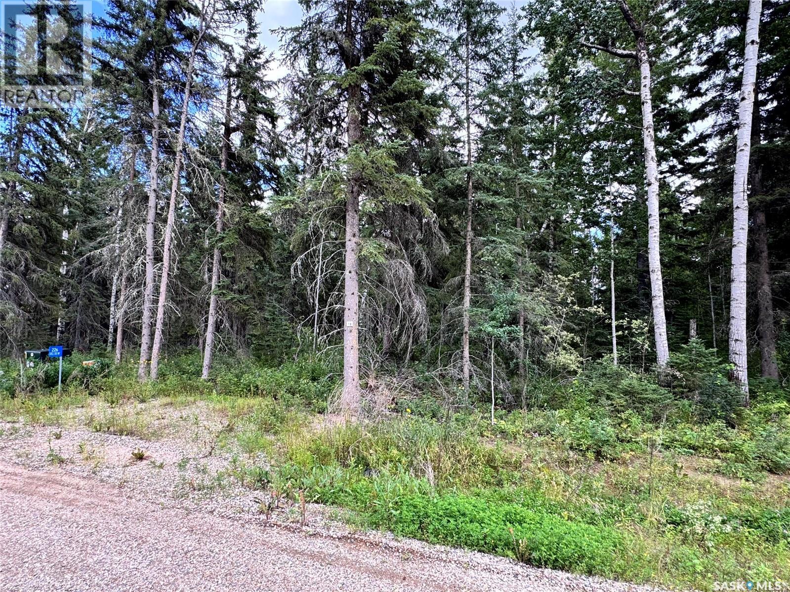 Lot 18 Turtle Cove, Turtle Lake, Saskatchewan  S7H 1Y5 - Photo 5 - SK044867