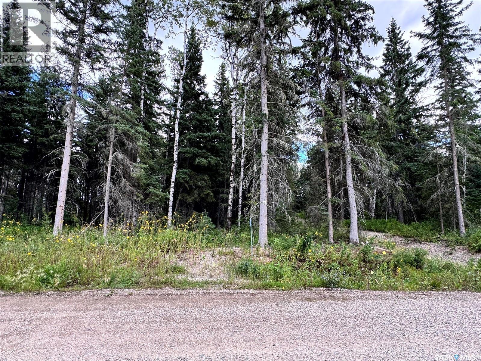 Lot 19 Turtle Cove, Turtle Lake, Saskatchewan  S7H 1Y5 - Photo 3 - SK044868