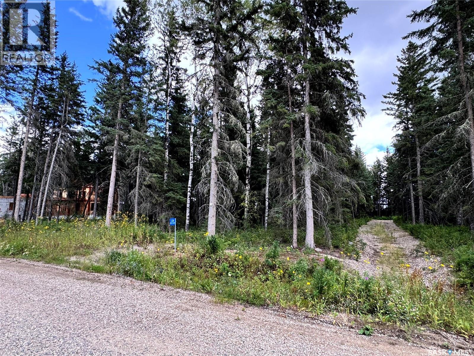 Lot 19 Turtle Cove, Turtle Lake, Saskatchewan  S7H 1Y5 - Photo 5 - SK044868