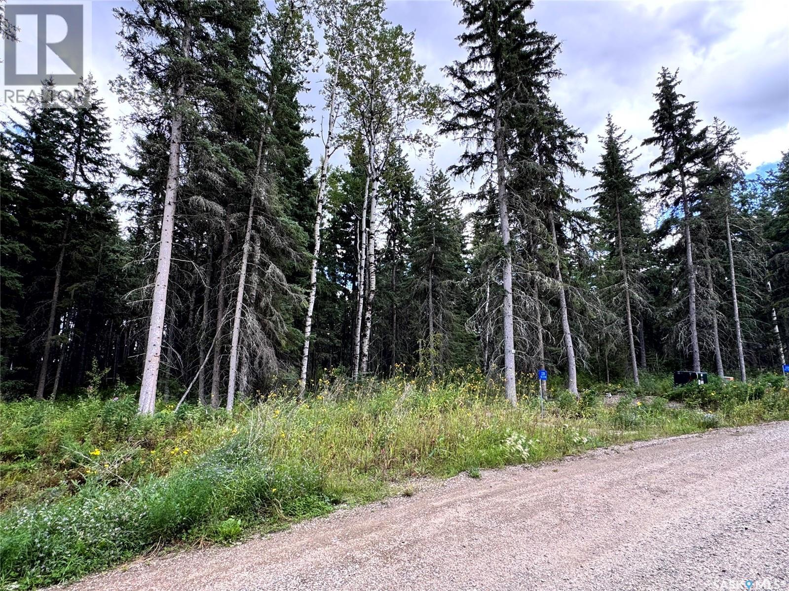Lot 19 Turtle Cove, Turtle Lake, Saskatchewan  S7H 1Y5 - Photo 4 - SK044868