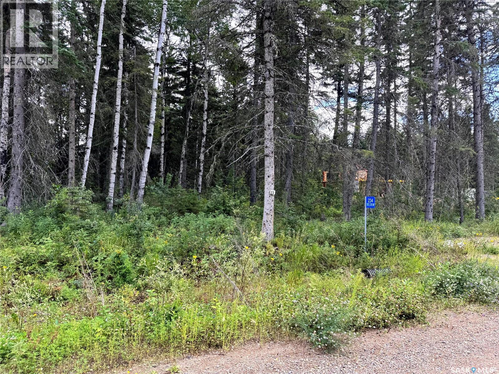 Lot 22 Turtle Cove, Turtle Lake, Saskatchewan  S7H 1Y5 - Photo 4 - SK044877