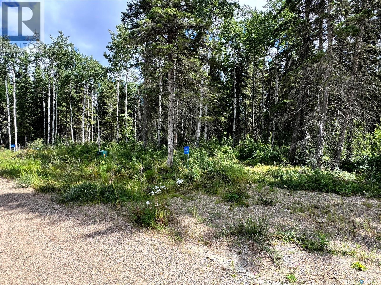 Lot 22 Turtle Cove, Turtle Lake, Saskatchewan  S7H 1Y5 - Photo 5 - SK044877
