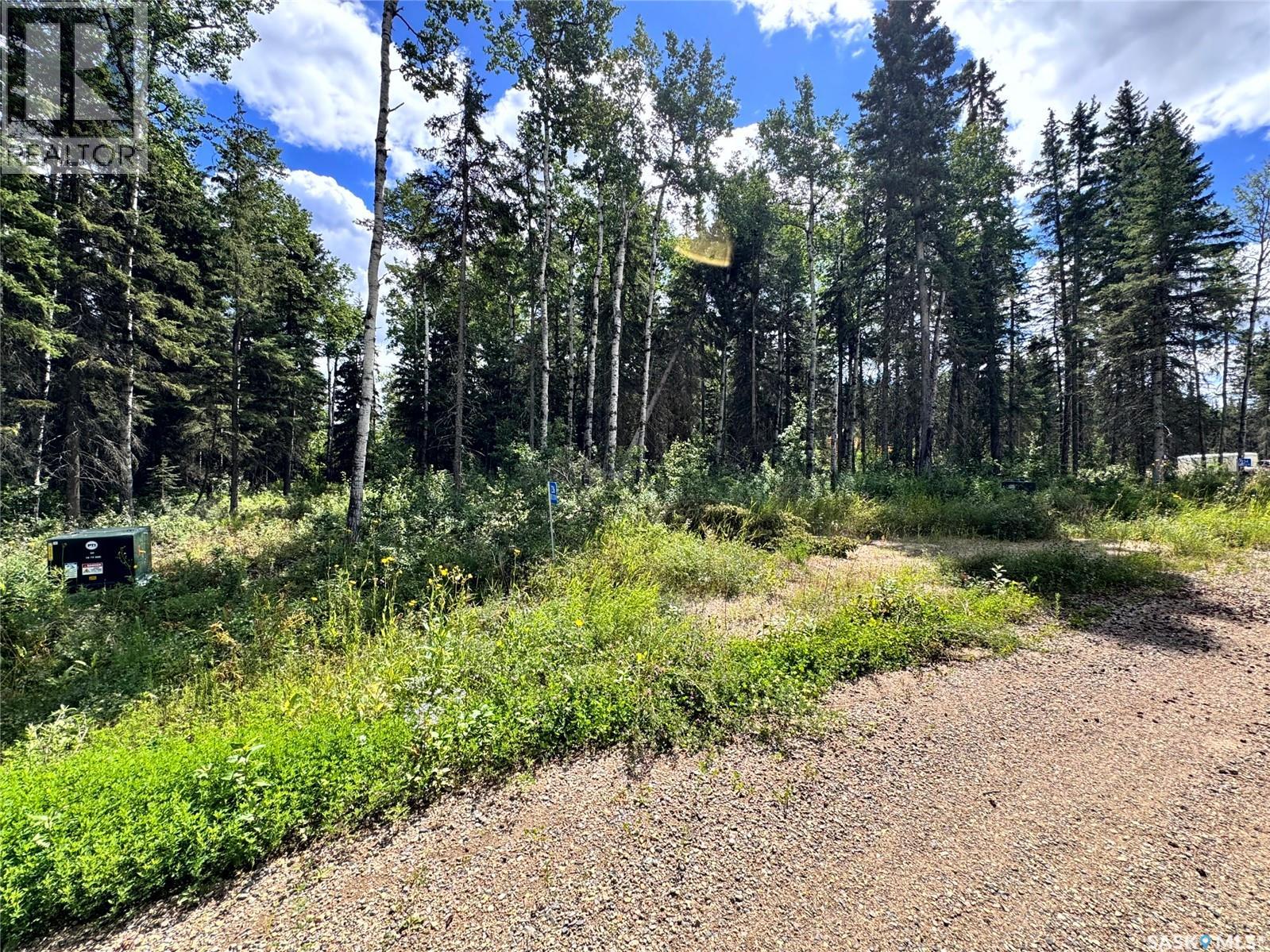 Lot 23 Turtle Cove, Turtle Lake, Saskatchewan  S7H 1Y5 - Photo 4 - SK044879