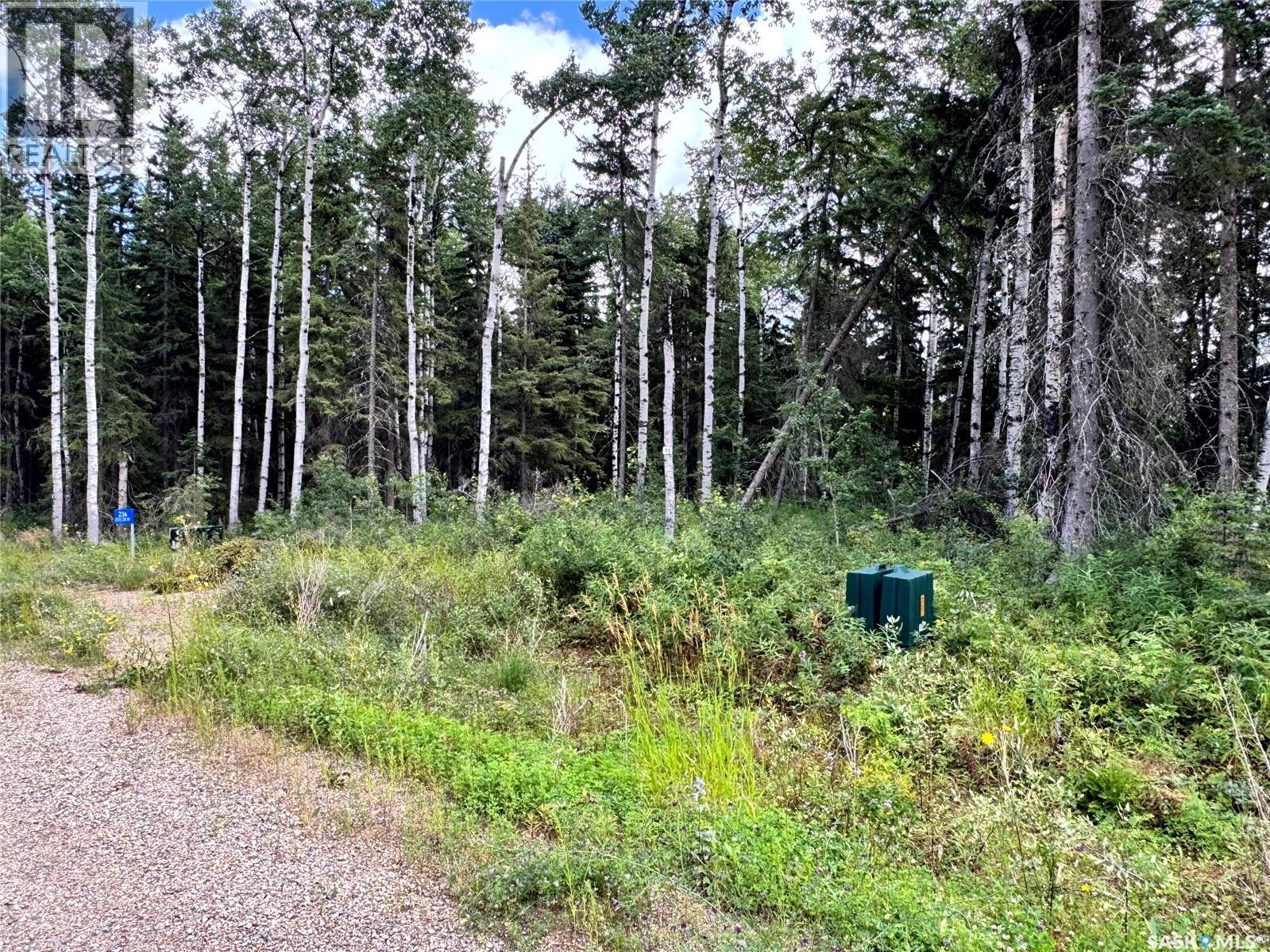 Lot 23 Turtle Cove, Turtle Lake, Saskatchewan  S7H 1Y5 - Photo 5 - SK044879