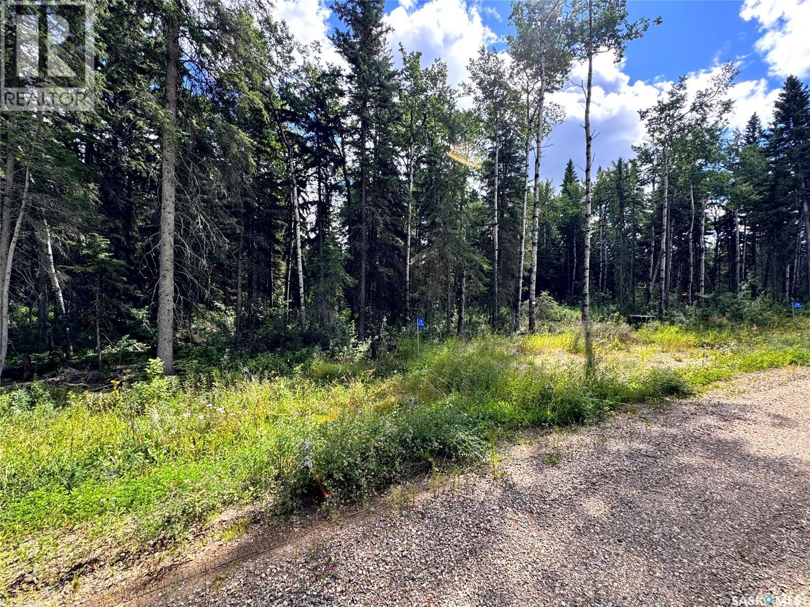 Lot 24 Turtle Cove, Turtle Lake, Saskatchewan  S7H 1Y5 - Photo 4 - SK044882