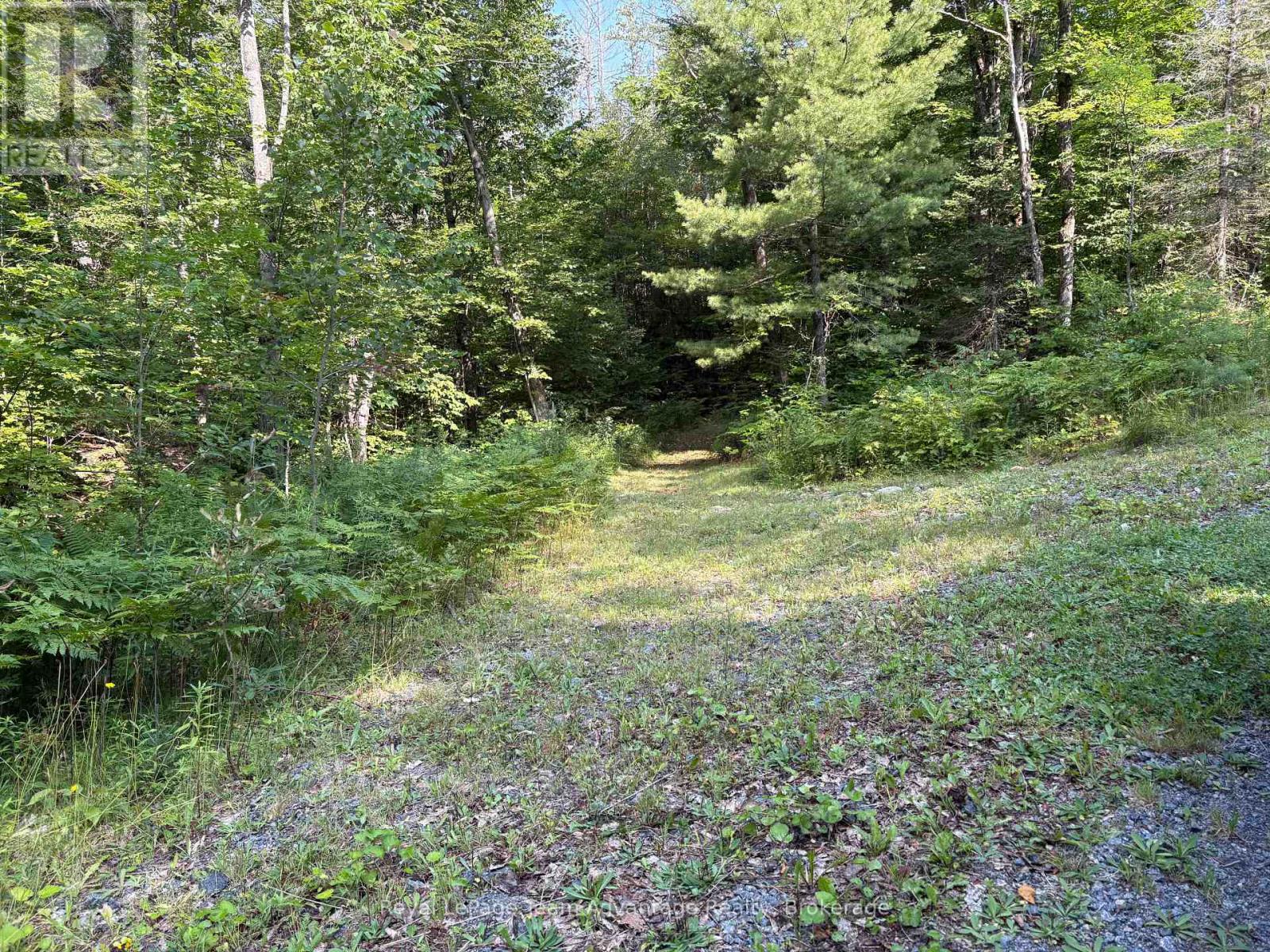 558 518 Highway, Seguin, Ontario  P2A 0B2 - Photo 50 - X13520388