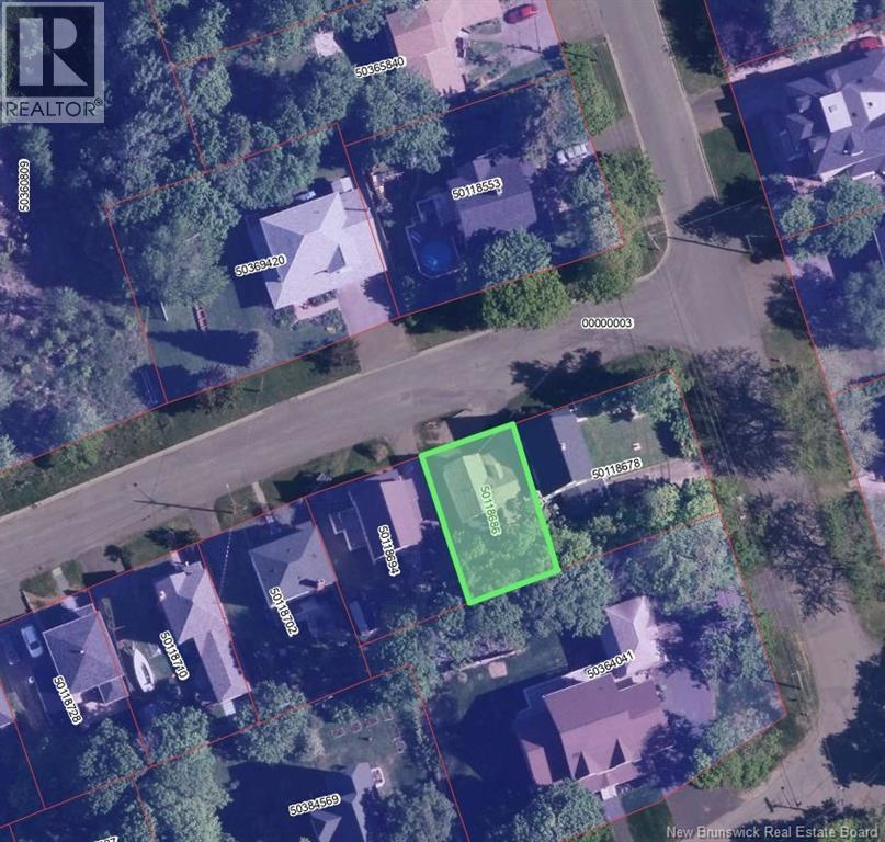 4 Windsor Street, Campbellton, New Brunswick E3N 1G5 - Photo 18 - NB145546