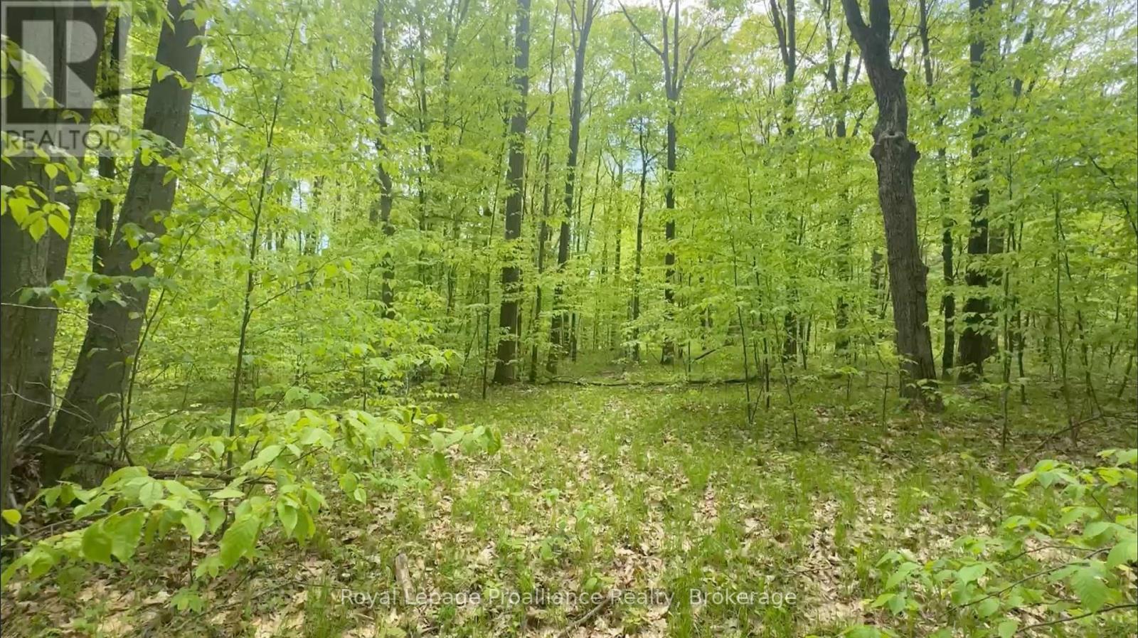 207 Middle Ridge Road, Brighton, Ontario  K0K 1H0 - Photo 3 - X13636624