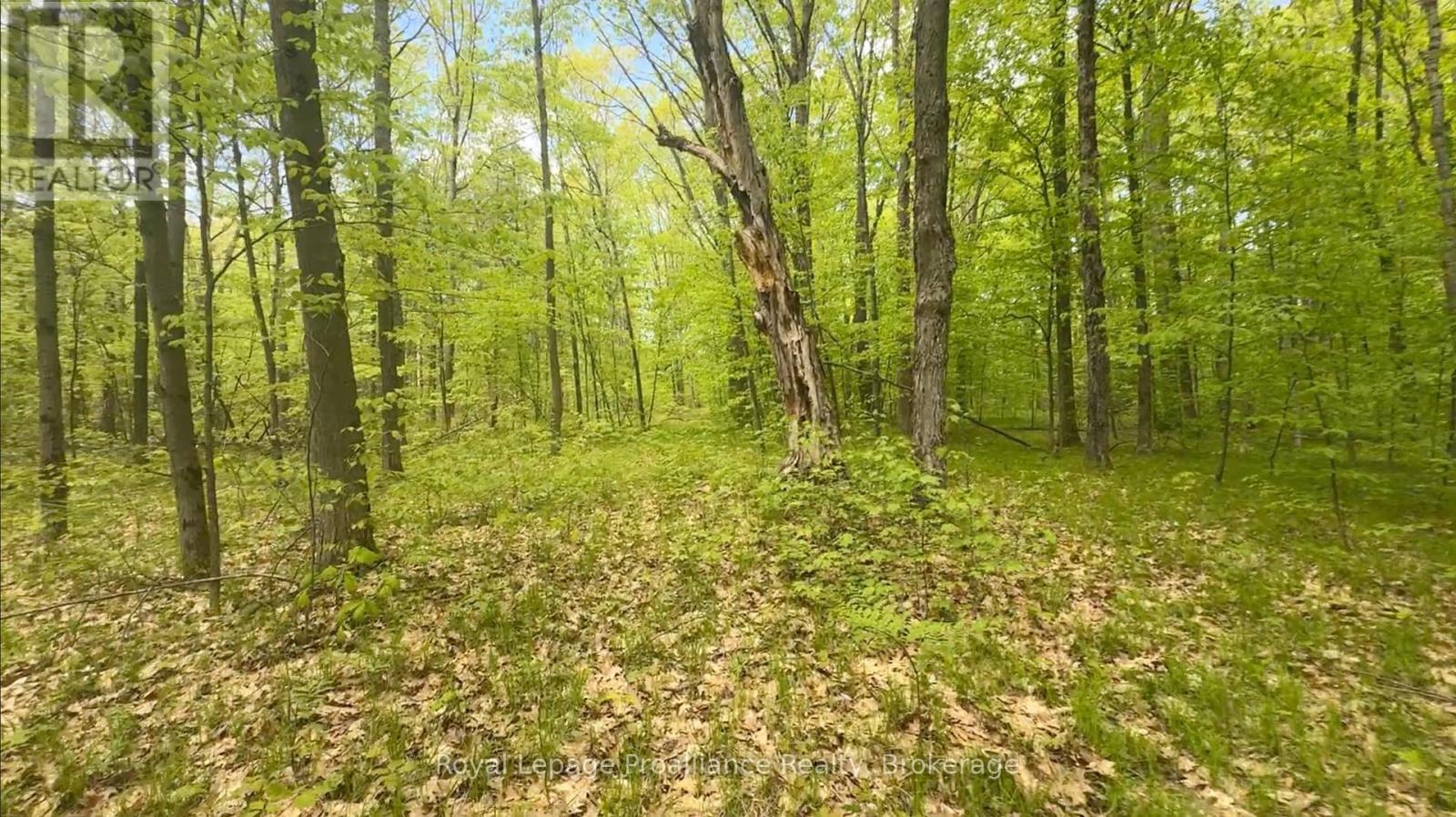 207 Middle Ridge Road, Brighton, Ontario  K0K 1H0 - Photo 4 - X13636624