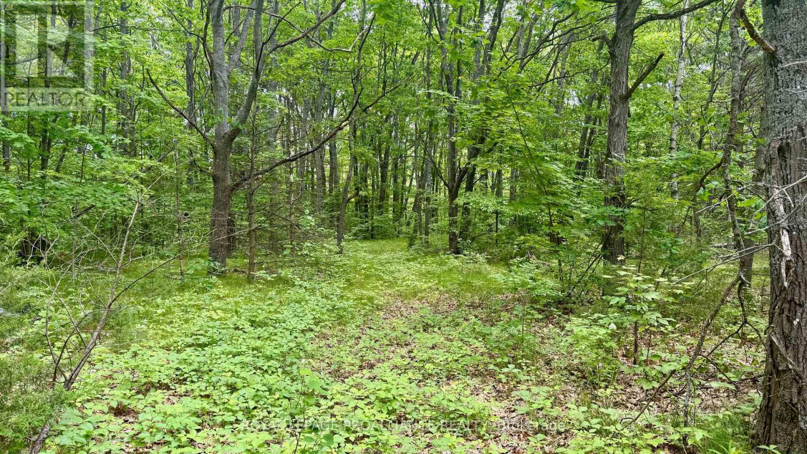 207 MIDDLE RIDGE ROAD, Brighton, Ontario