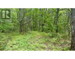 207 MIDDLE RIDGE ROAD, Brighton, Ontario