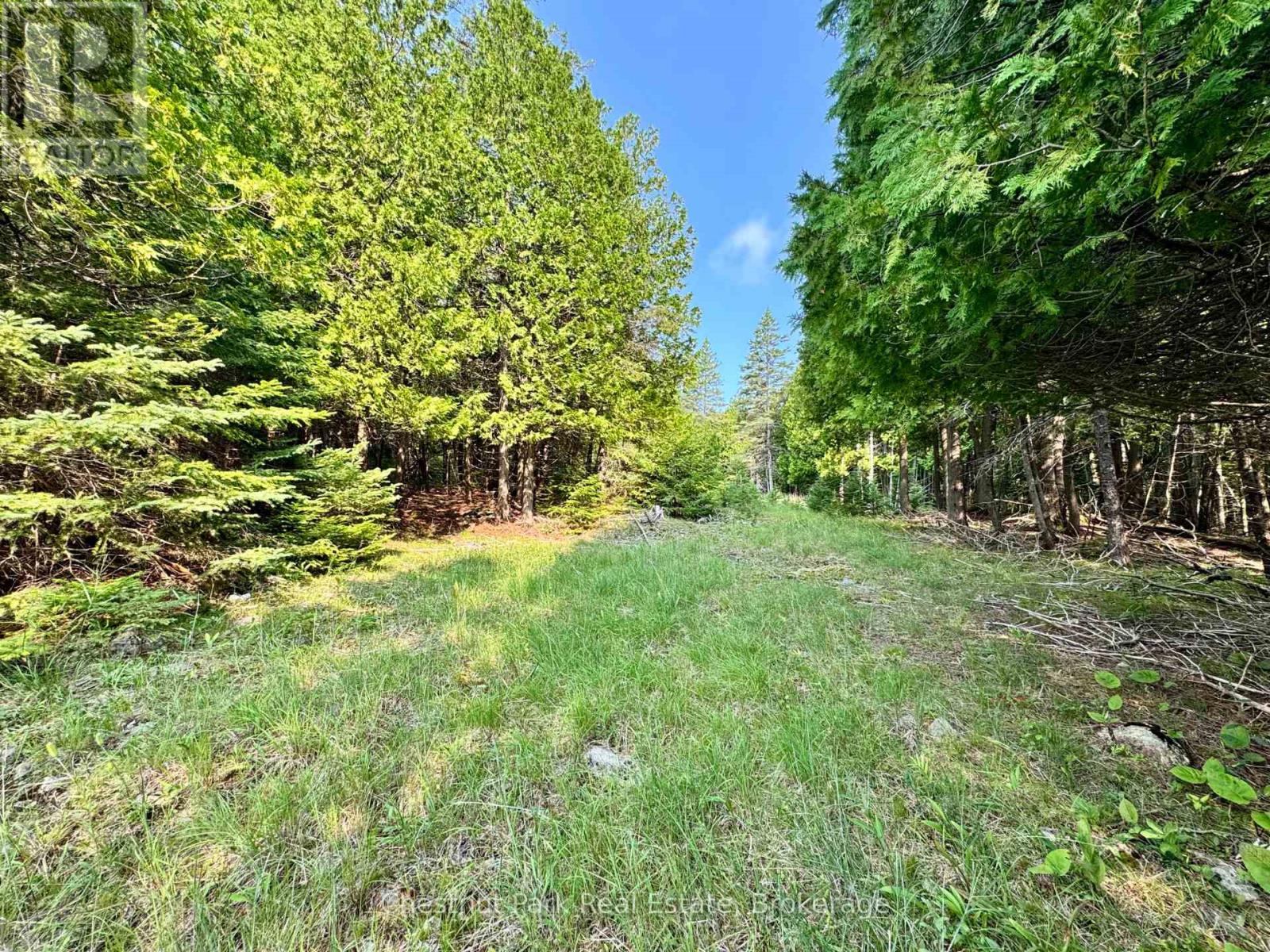 Pt Lt 6 Pike Bay Road, Northern Bruce Peninsula, Ontario  N0H 2T0 - Photo 13 - X13656480