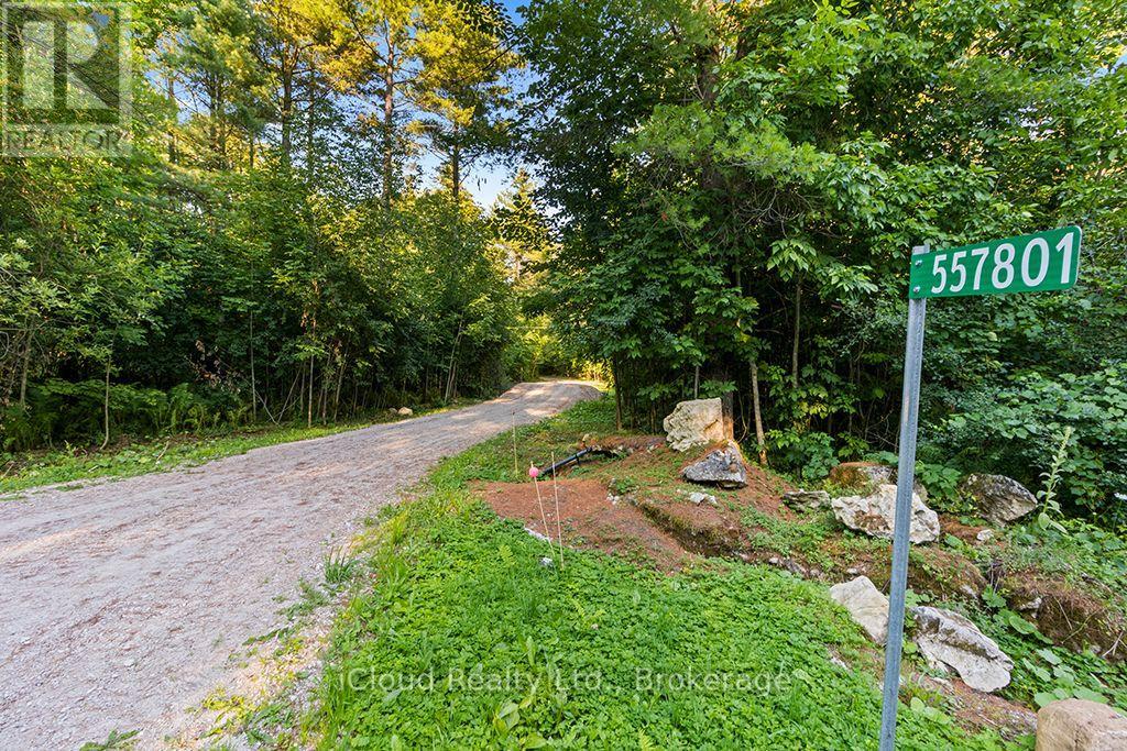 557801 Concession 4 Road N, Meaford, Ontario  N0H 1E0 - Photo 11 - X13656404