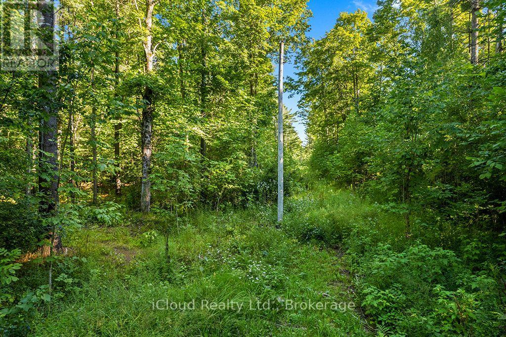 557801 Concession 4 Road N, Meaford, Ontario  N0H 1E0 - Photo 14 - X13656404