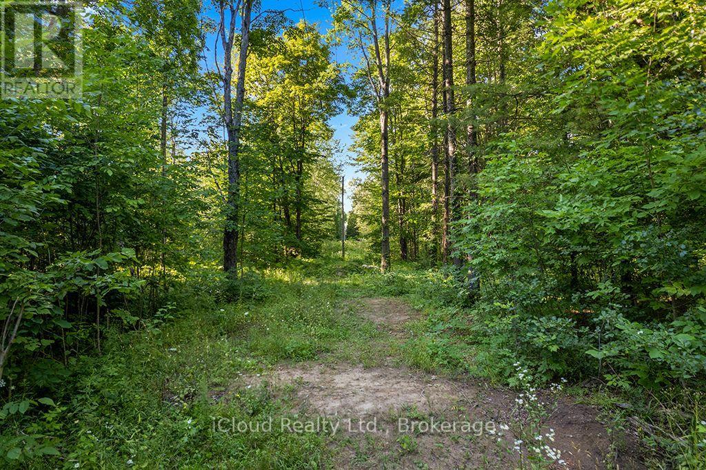 557801 Concession 4 Road N, Meaford, Ontario  N0H 1E0 - Photo 15 - X13656404