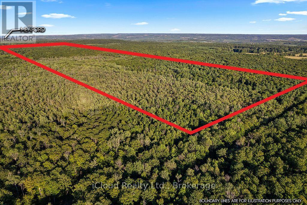 557801 Concession 4 Road N, Meaford, Ontario  N0H 1E0 - Photo 2 - X13656404