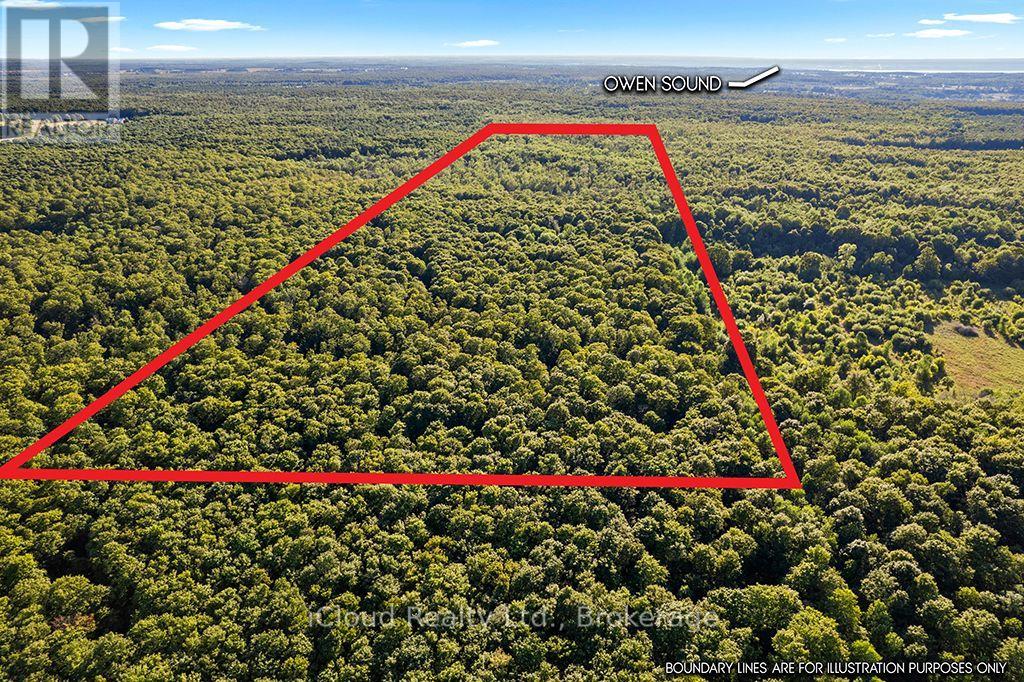 557801 Concession 4 Road N, Meaford, Ontario  N0H 1E0 - Photo 3 - X13656404
