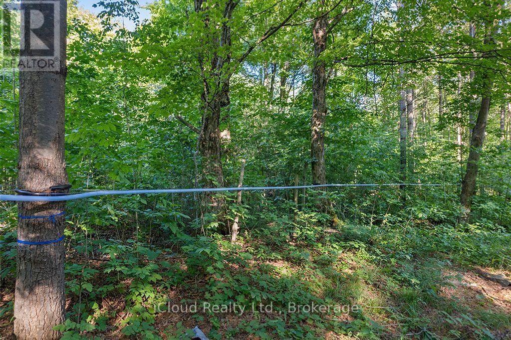 557801 Concession 4 Road N, Meaford, Ontario  N0H 1E0 - Photo 30 - X13656404