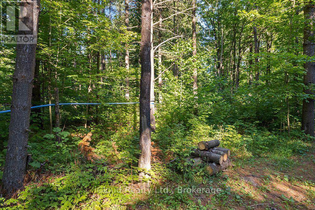 557801 Concession 4 Road N, Meaford, Ontario  N0H 1E0 - Photo 31 - X13656404