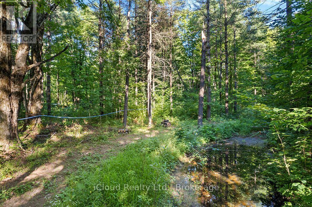 557801 Concession 4 Road N, Meaford, Ontario  N0H 1E0 - Photo 32 - X13656404