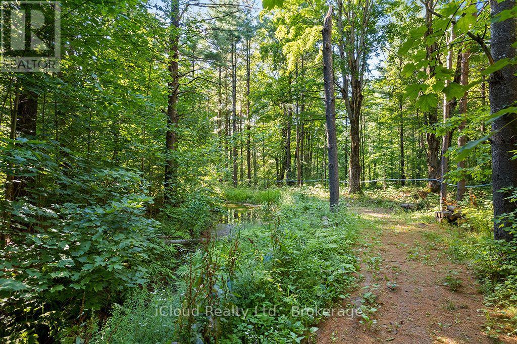 557801 Concession 4 Road N, Meaford, Ontario  N0H 1E0 - Photo 33 - X13656404