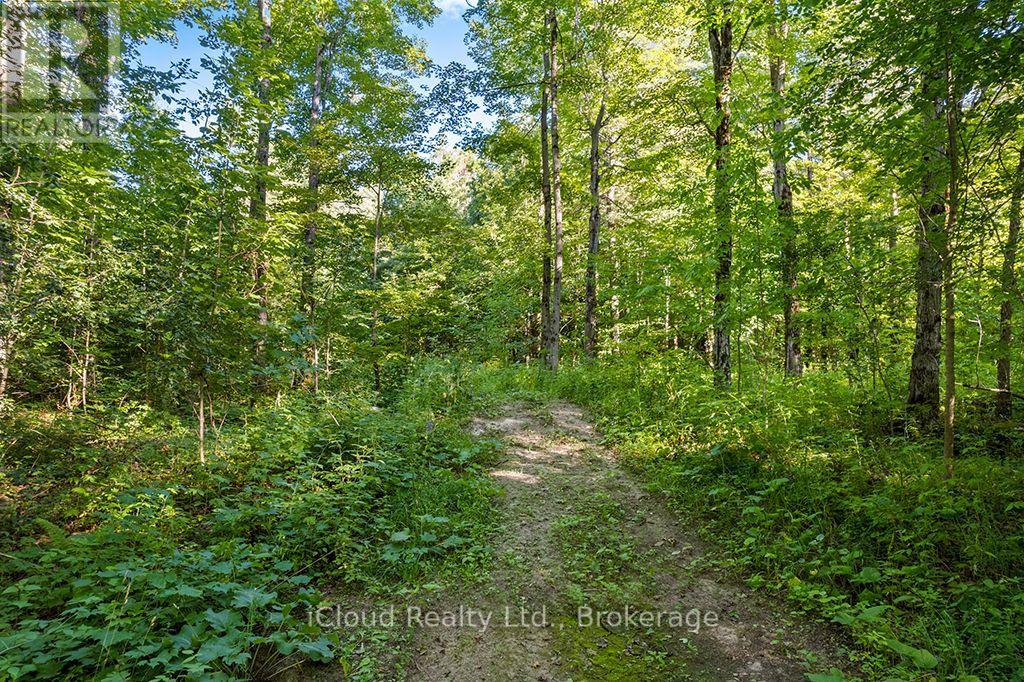557801 Concession 4 Road N, Meaford, Ontario  N0H 1E0 - Photo 35 - X13656404