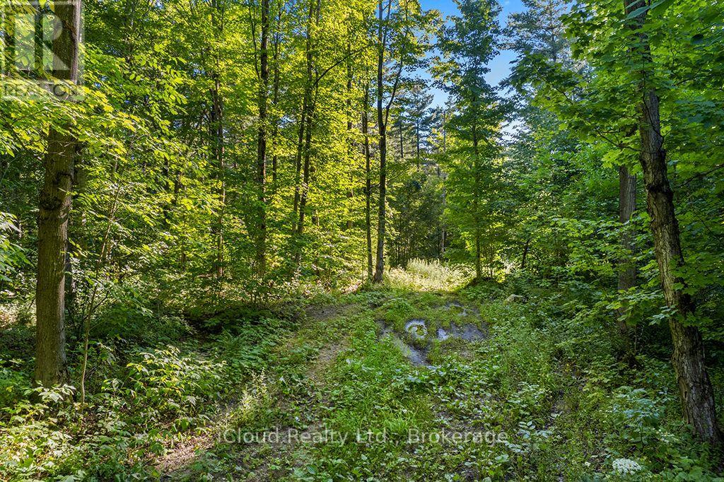 557801 Concession 4 Road N, Meaford, Ontario  N0H 1E0 - Photo 37 - X13656404