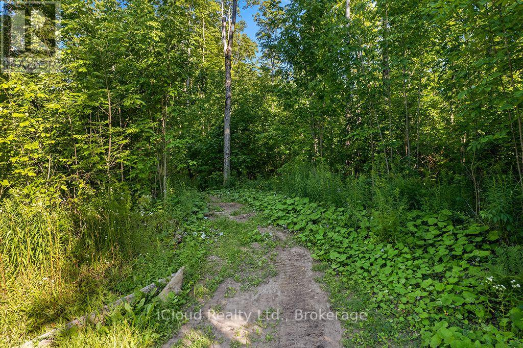 557801 Concession 4 Road N, Meaford, Ontario  N0H 1E0 - Photo 38 - X13656404