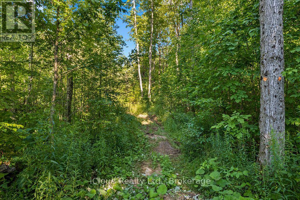 557801 Concession 4 Road N, Meaford, Ontario  N0H 1E0 - Photo 39 - X13656404