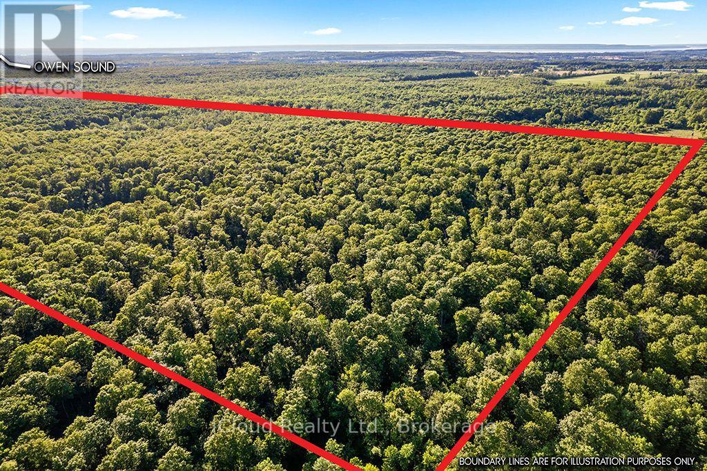 557801 Concession 4 Road N, Meaford, Ontario  N0H 1E0 - Photo 4 - X13656404