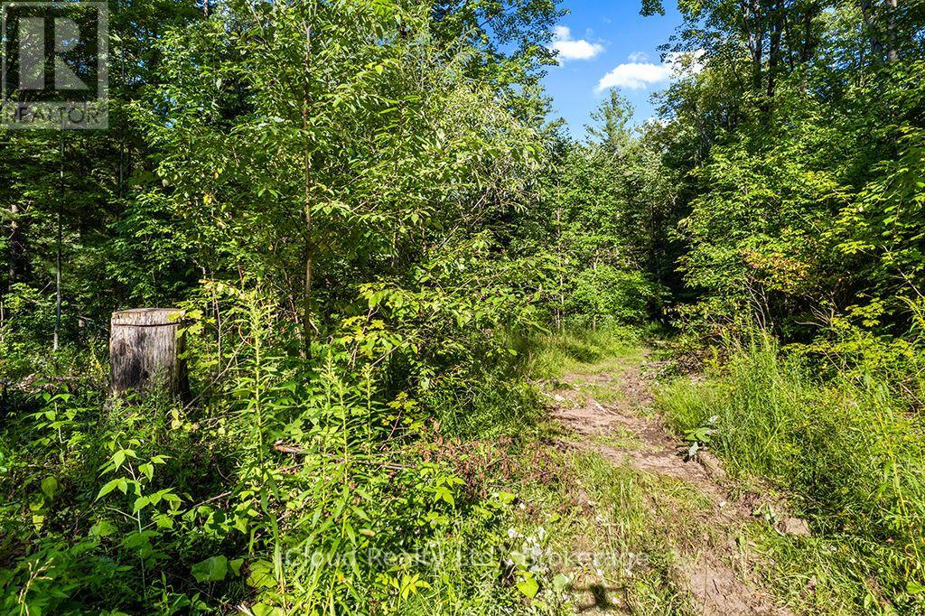 557801 Concession 4 Road N, Meaford, Ontario  N0H 1E0 - Photo 40 - X13656404