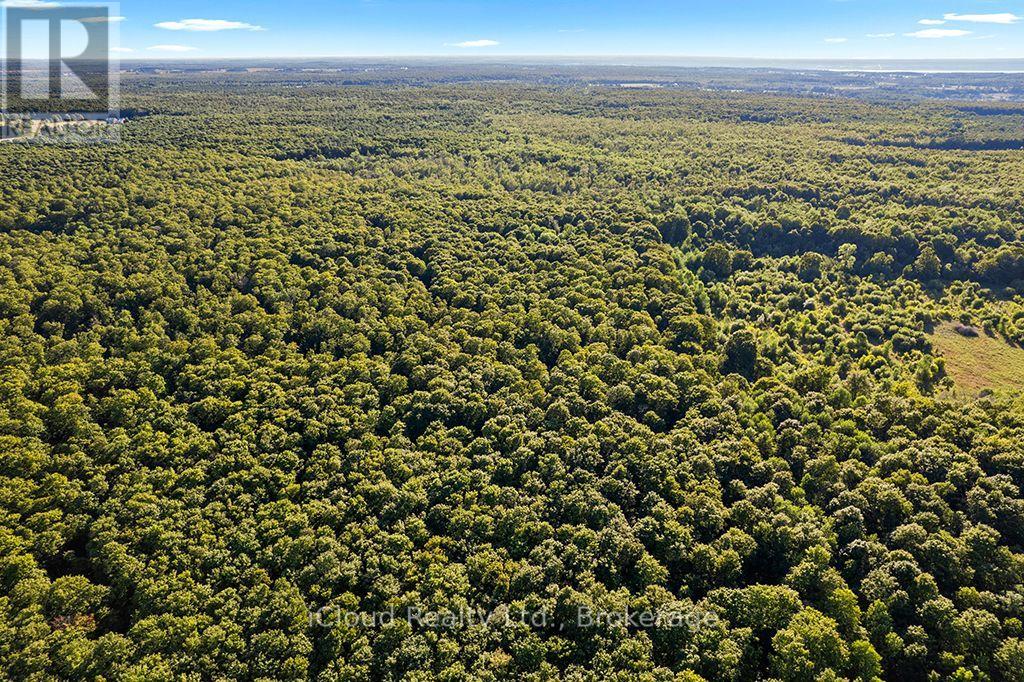 557801 Concession 4 Road N, Meaford, Ontario  N0H 1E0 - Photo 41 - X13656404