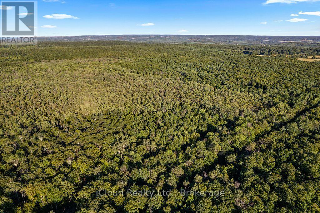 557801 Concession 4 Road N, Meaford, Ontario  N0H 1E0 - Photo 42 - X13656404