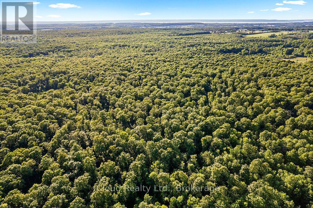 557801 Concession 4 Road N, Meaford, Ontario  N0H 1E0 - Photo 7 - X13656404