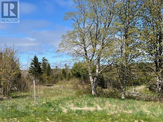 63 Frank Road, Italy Cross, Nova Scotia  B4V 0N3 - Photo 49 - 202620120