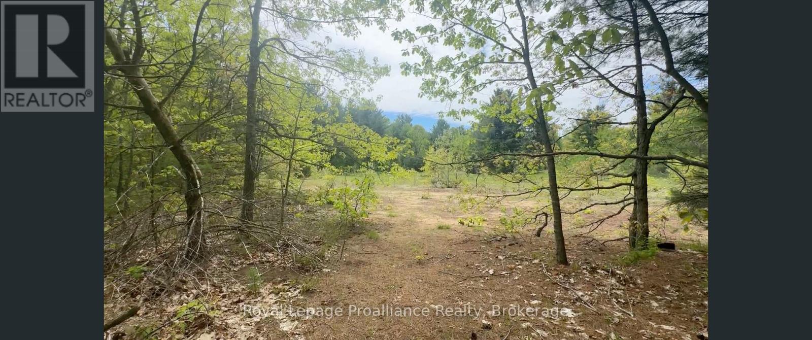 207 Middle Ridge Road, Brighton, Ontario  K0K 1H0 - Photo 9 - X13636624