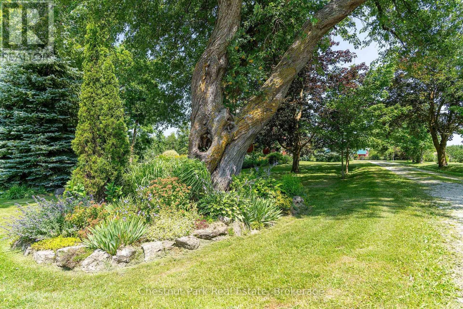 678541 Centre Road, Mulmur, Ontario  L9V 0C7 - Photo 13 - X13656558