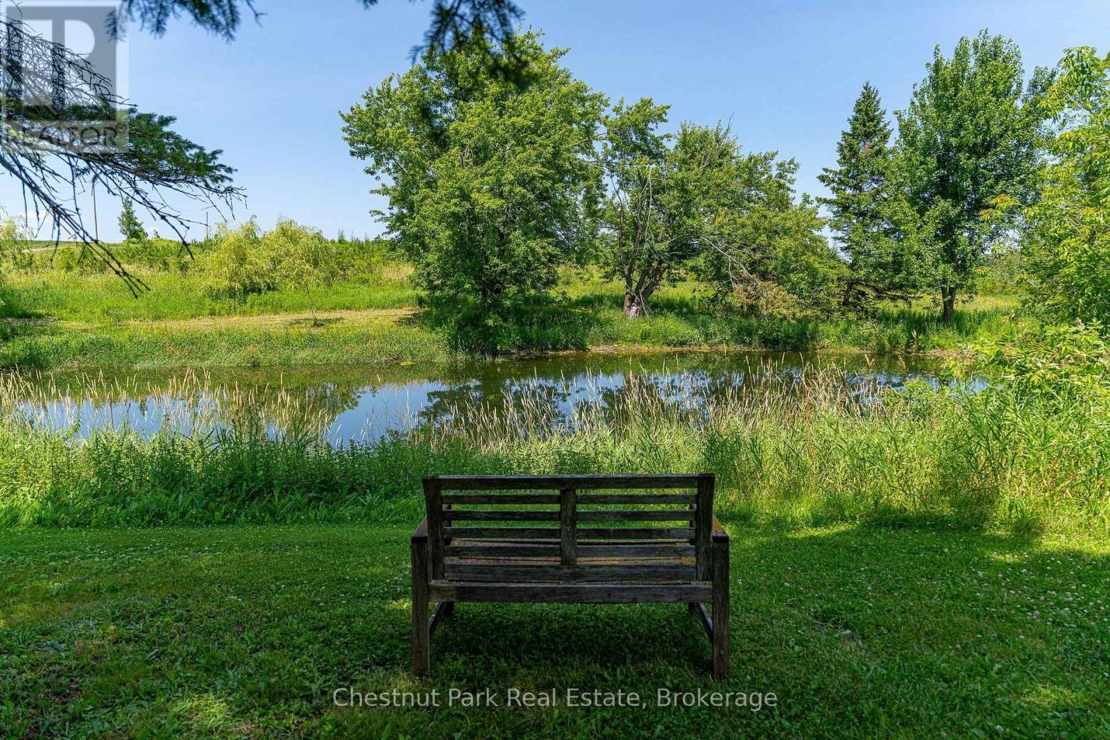 678541 Centre Road, Mulmur, Ontario  L9V 0C7 - Photo 15 - X13656558