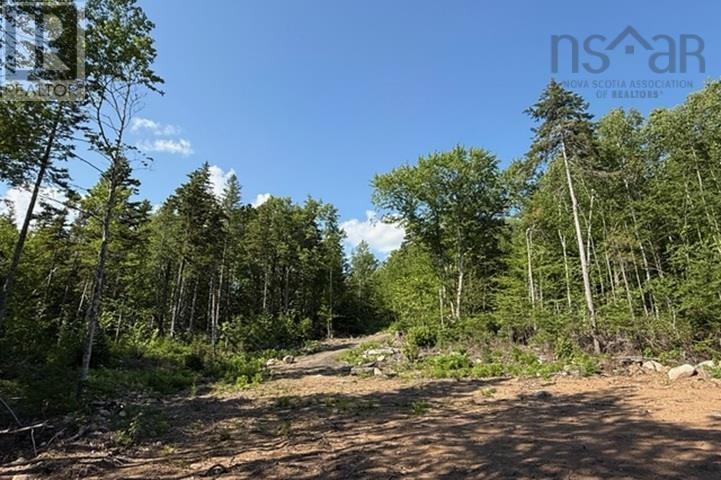 Lot 12 Larch Lane, Forties, Nova Scotia  B0J 2M0 - Photo 10 - 202617441