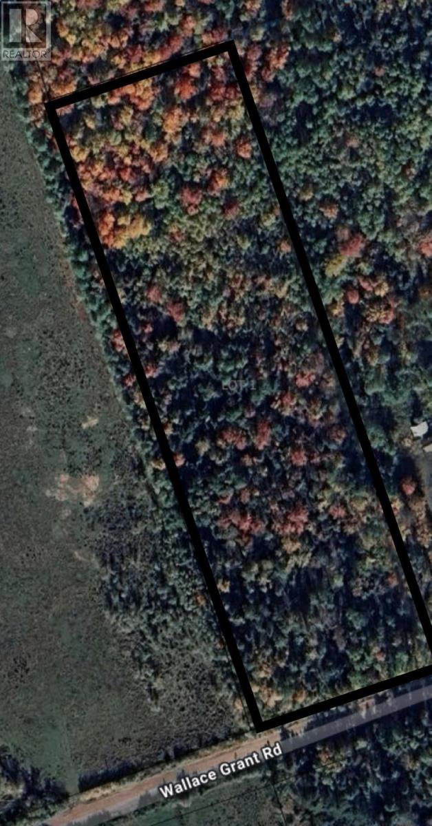 Lot-1 Wallace Grant Road, Wallace Grant, Nova Scotia  B0K 1E0 - Photo 3 - 202619990
