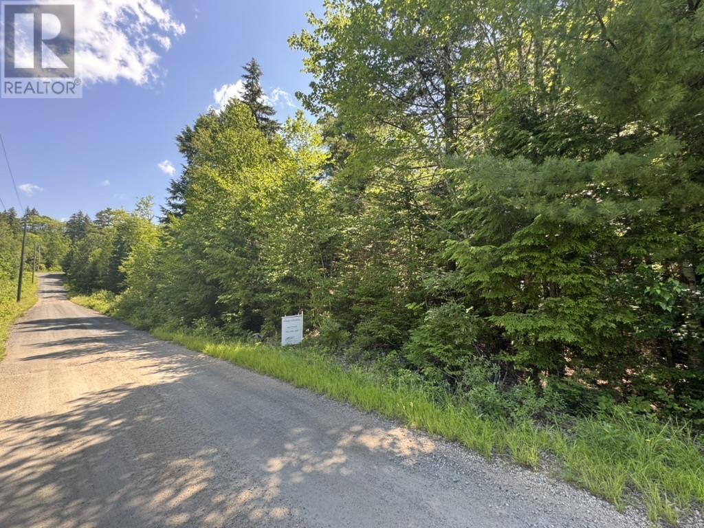 Lot 16 Birch Trail, Forties, Nova Scotia  B0J 2M0 - Photo 10 - 202603478