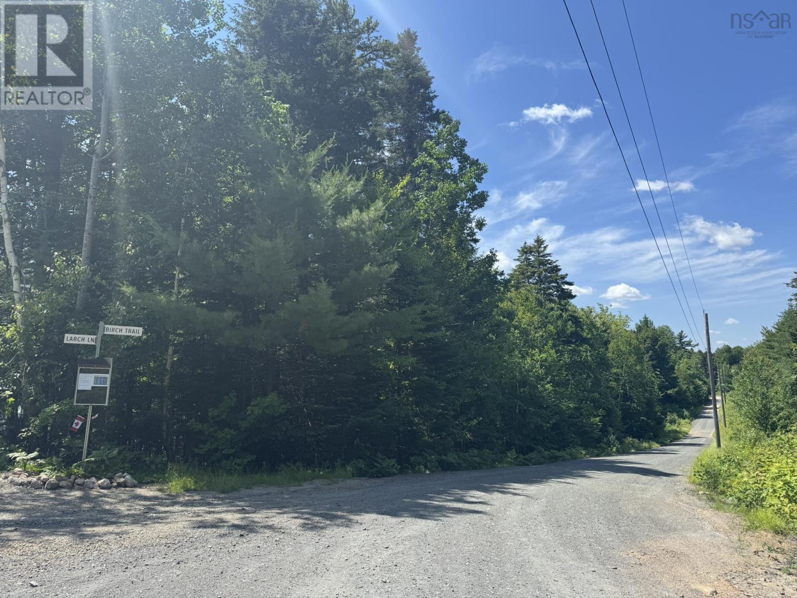 Lot 16 Birch Trail, Forties, Nova Scotia  B0J 2M0 - Photo 12 - 202603478
