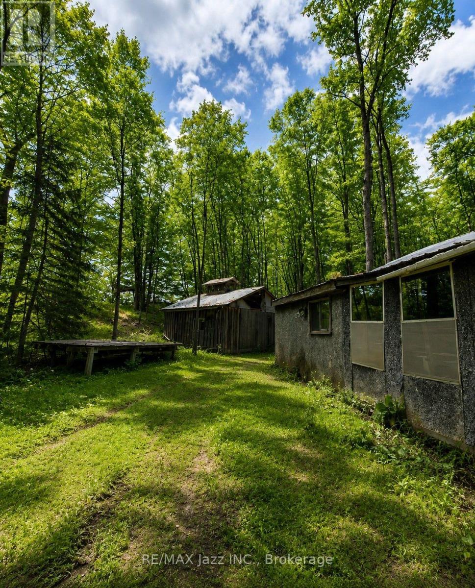 1091 Crystal Lake Road, Trent Lakes, Ontario K0M 2A0 - Photo 3 - X13656864