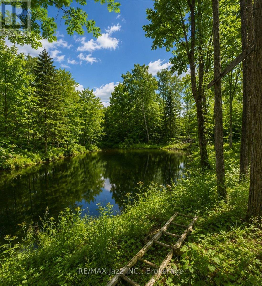 1091 Crystal Lake Road, Trent Lakes, Ontario K0M 2A0 - Photo 5 - X13656864