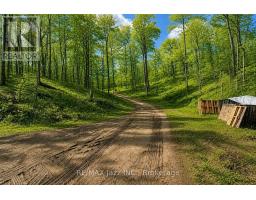 1091 CRYSTAL LAKE ROAD, Trent Lakes, Ontario
