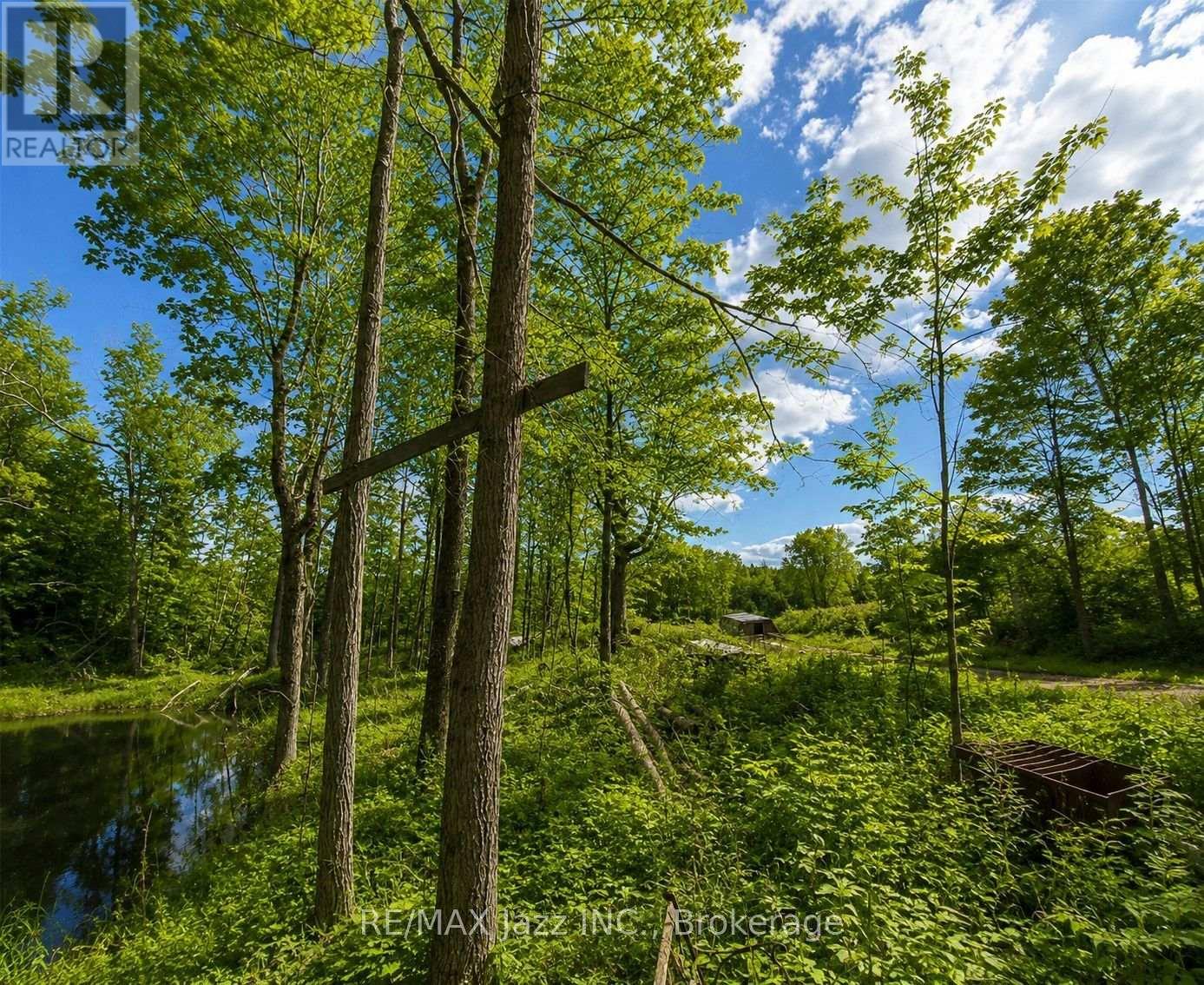 1091a Crystal Lake Road, Trent Lakes, Ontario K0M 3A0 - Photo 3 - X13656870