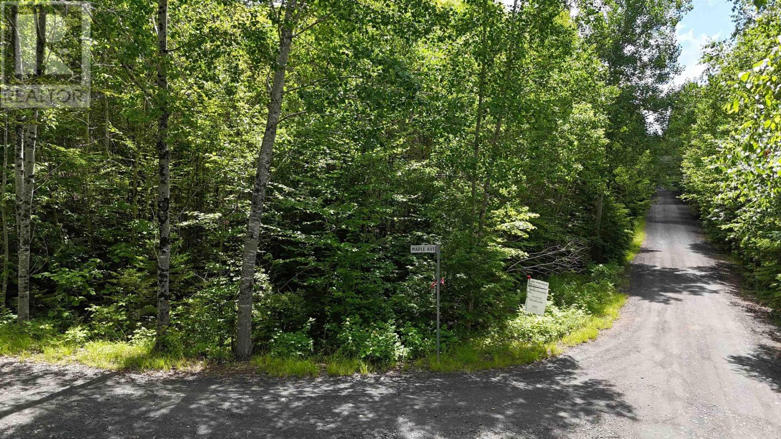 Lot 26 Hemlock Drive, Forties, Nova Scotia  B0J 2M0 - Photo 10 - 202616919